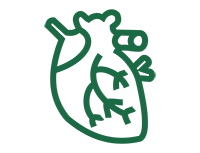  Cосудистая хирургия